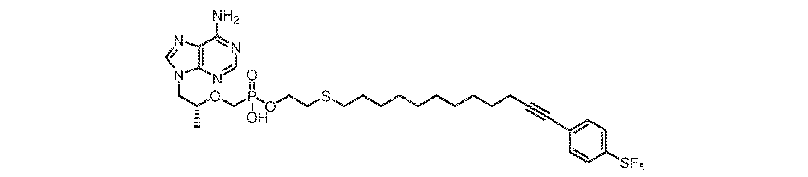 Figure 0007678795000248