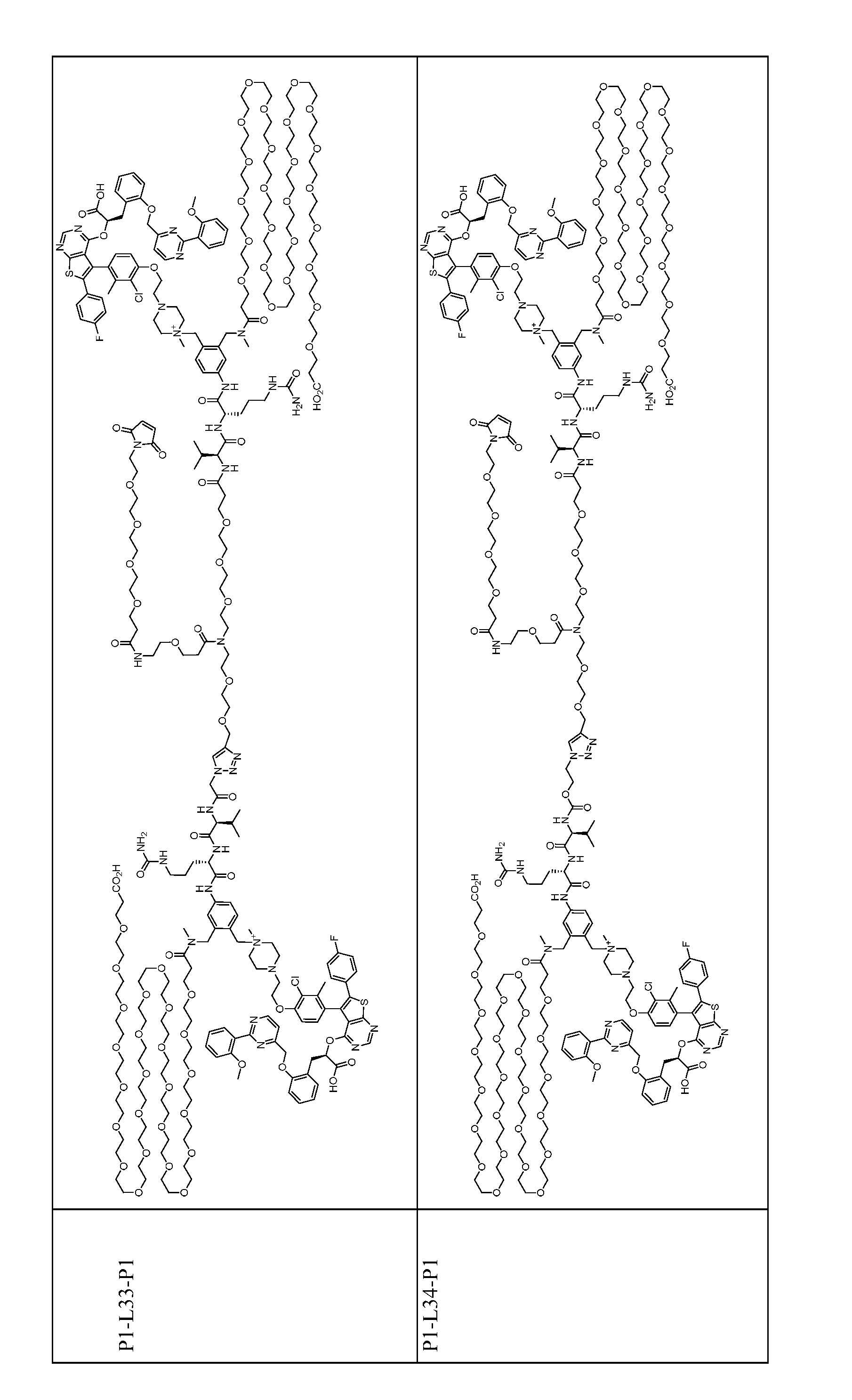 Figure imgf000155_0001
