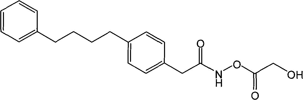 Figure G2007800515415D01311