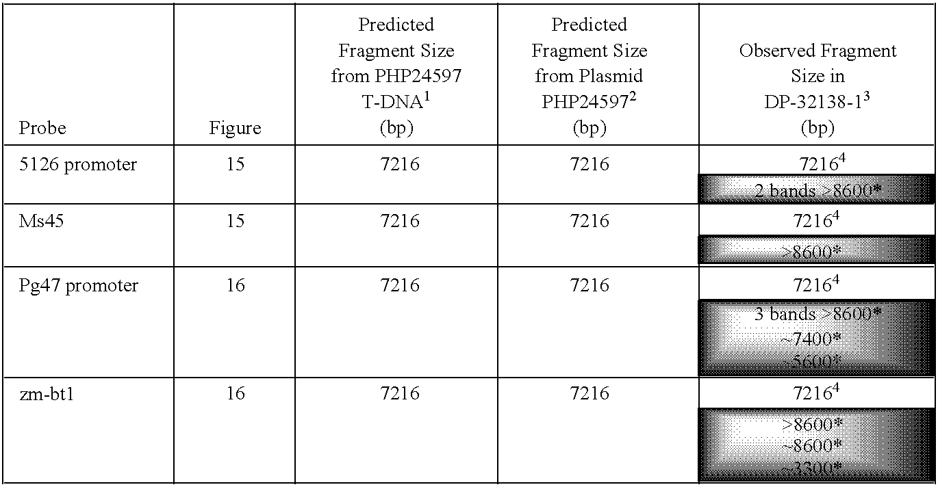 Figure US20090210970A1-20090820-C00005