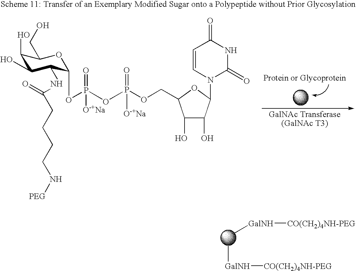 Figure US20080242607A1-20081002-C00067