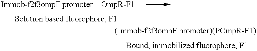Figure US06808874-20041026-C00011