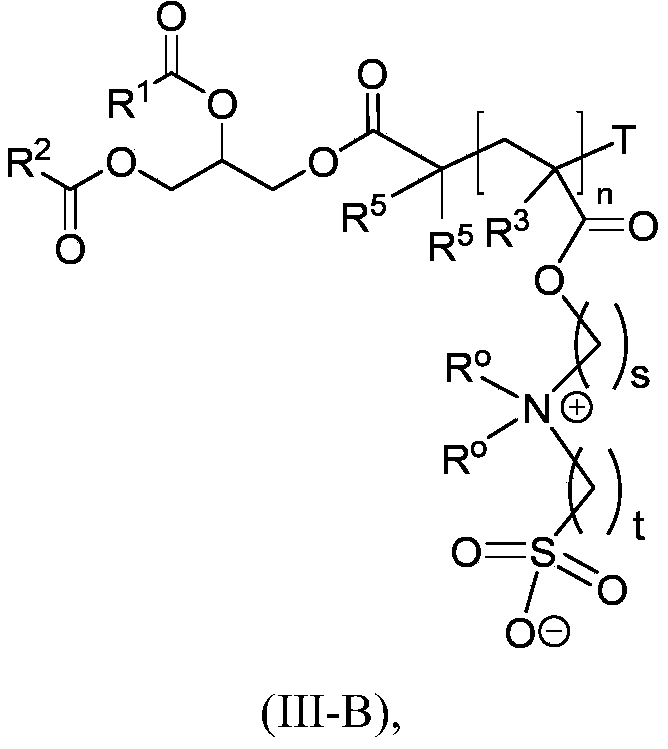Figure PCTCN2022071492-appb-000034