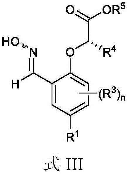 Figure BDA0003409909050000061