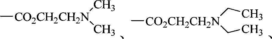 Figure S2008100571021D00044