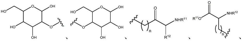 Figure FDA0003357934960000022