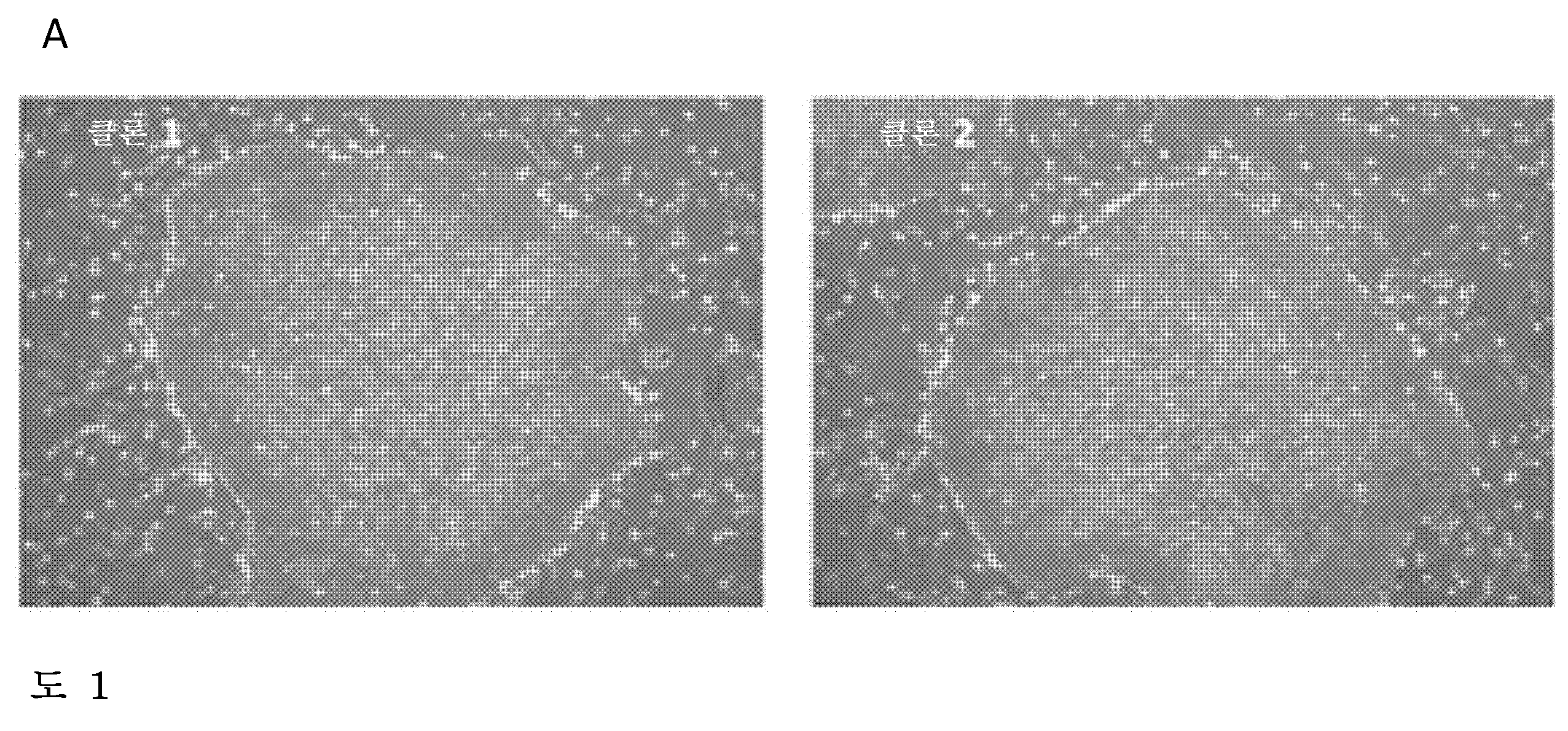 Figure 112016127868328-pct00001