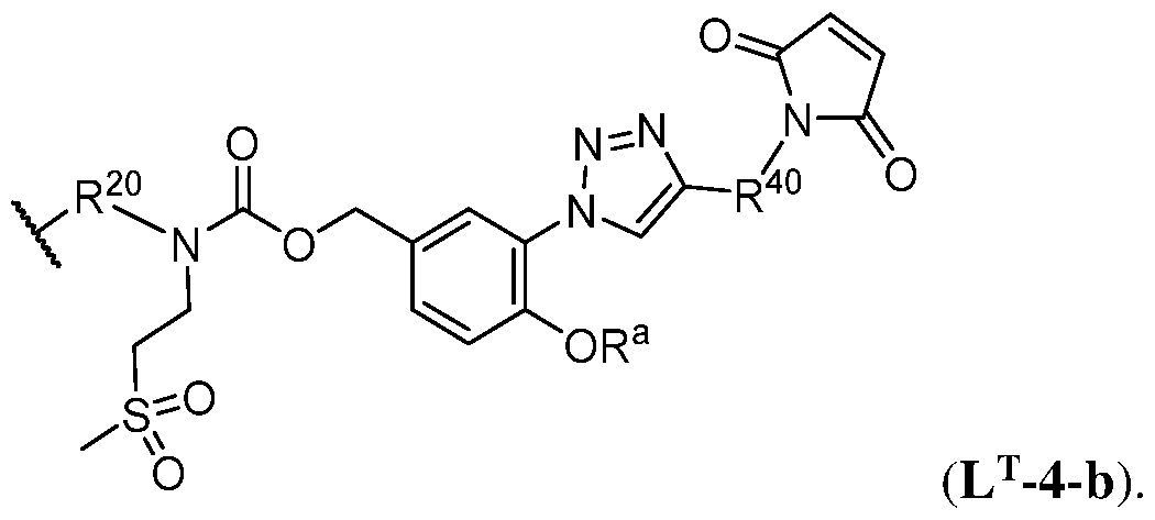 Figure imgf000106_0002