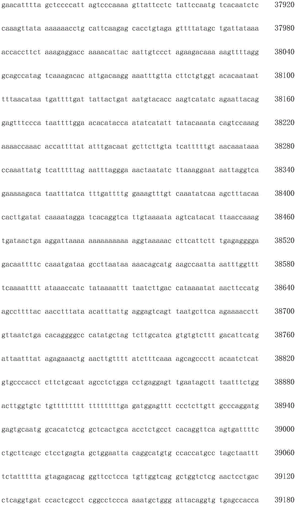 Figure IDA0003936212790001301