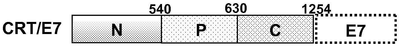 Figure imgf000031_0001