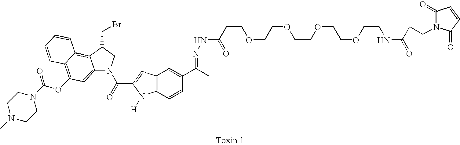 Figure US20080279868A1-20081113-C00135