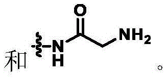 Figure FDA0004173206360000035