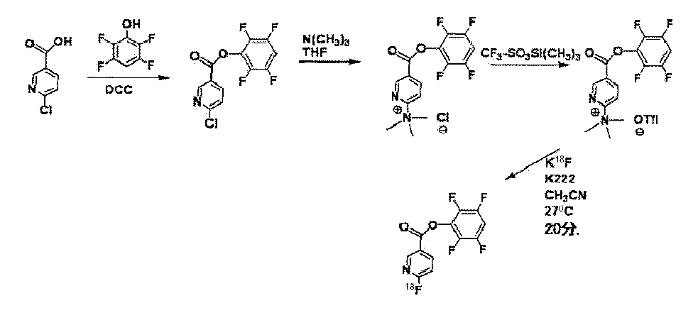 Figure 0007219497000024