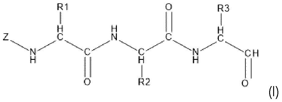 Figure imgf000063_0001