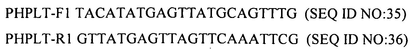 Figure 112009073197549-PCT00020