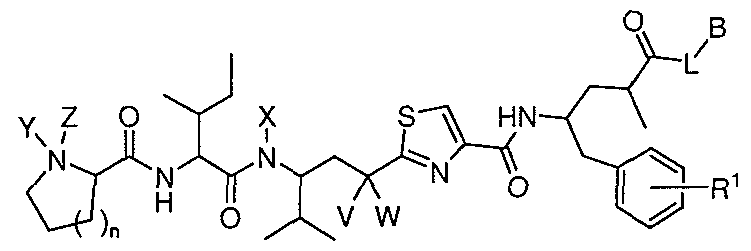 Figure imgf000005_0001