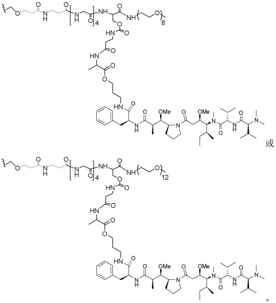 Figure FDA0003135424420000171