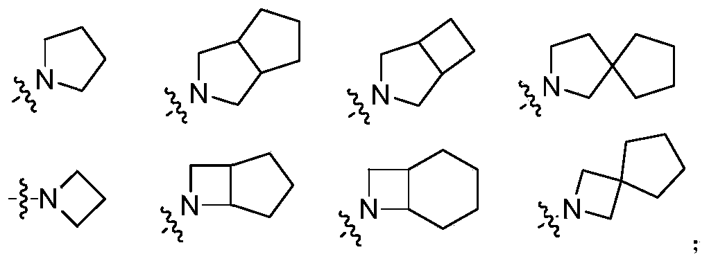 Figure PCTCN2019121844-appb-000003