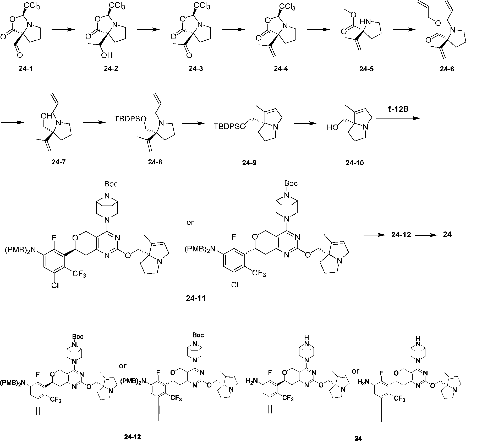 Figure 2025504491000211