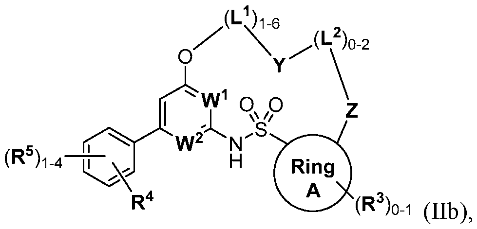 Figure imgf000239_0001