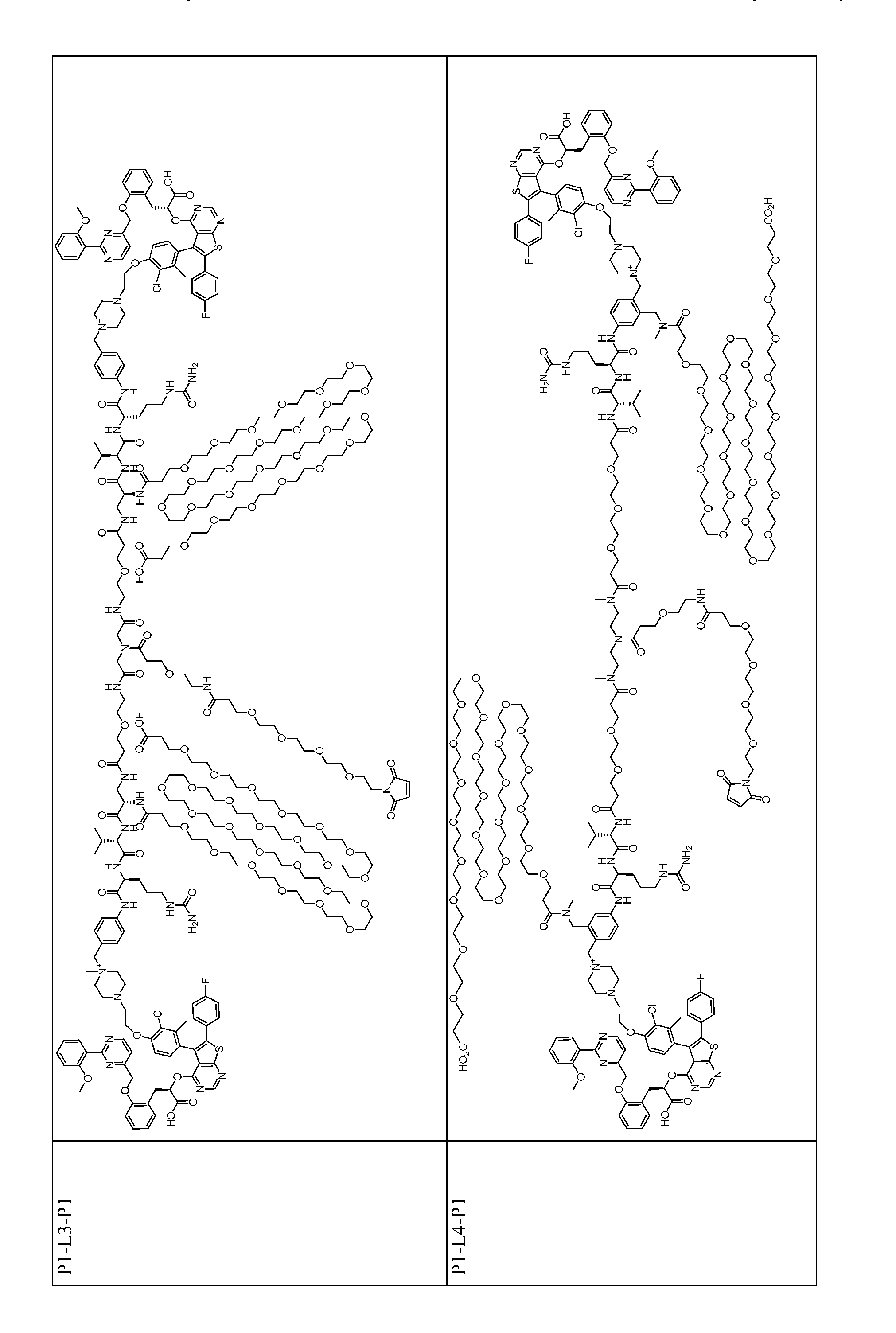 Figure imgf000134_0001