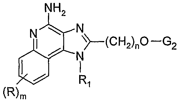 Figure imgf000010_0002