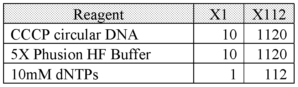 Figure imgf000105_0001