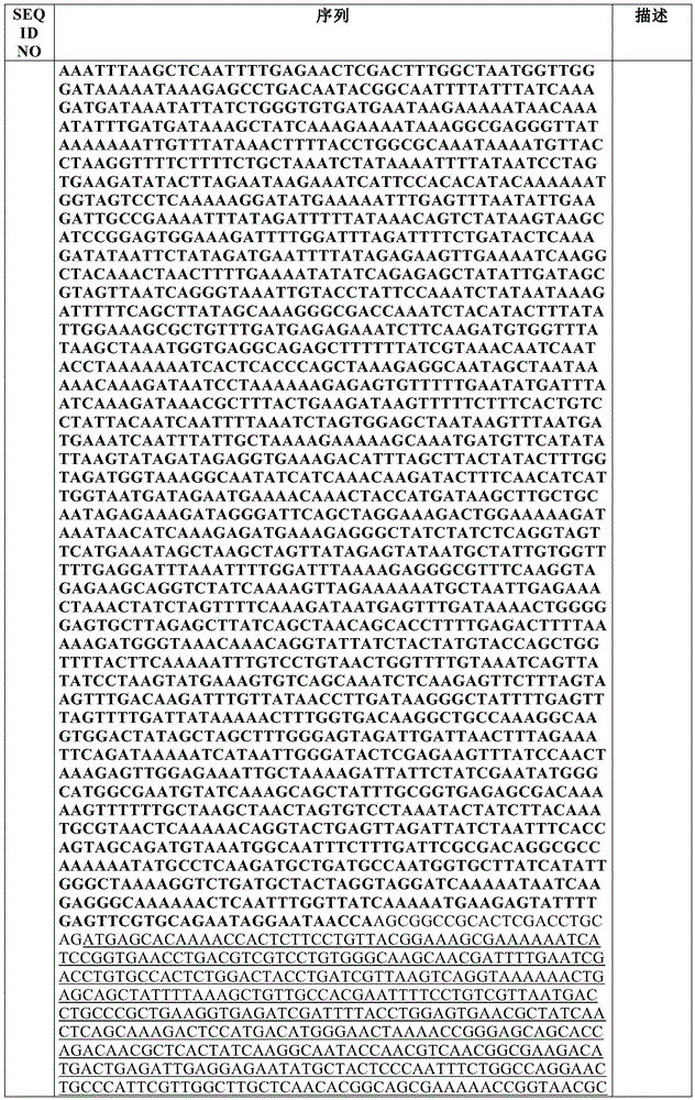 Figure BDA0002550795540001251