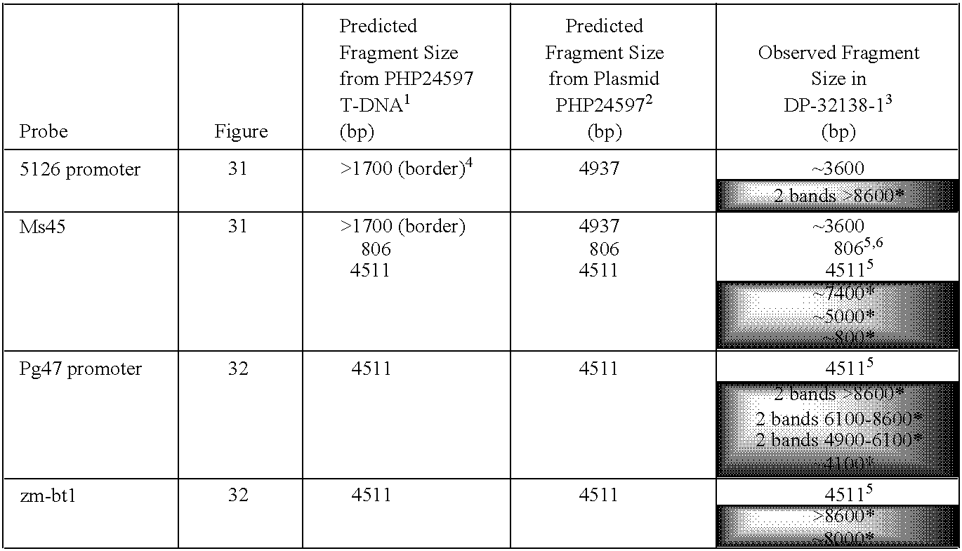 Figure US20090210970A1-20090820-C00011
