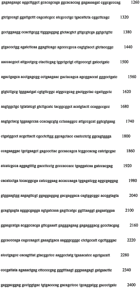 Figure IPA0000261779010000211