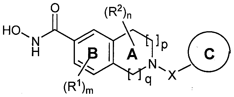 Figure imgf000006_0001