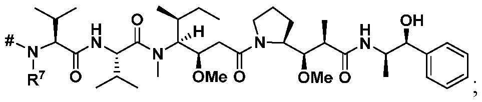 Figure imgf000101_0003