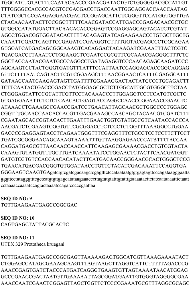 Figure IDA0000099690960000031