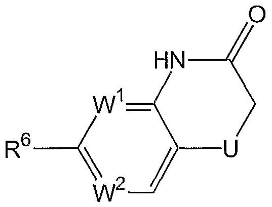 Figure imgf000011_0002