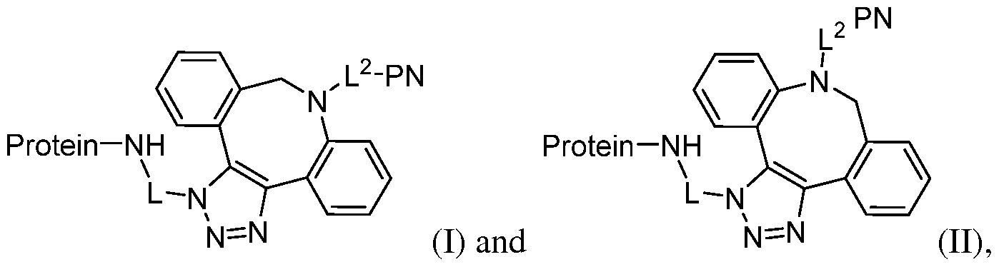 Figure imgf000006_0001