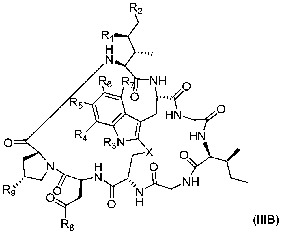 Figure imgf000051_0001