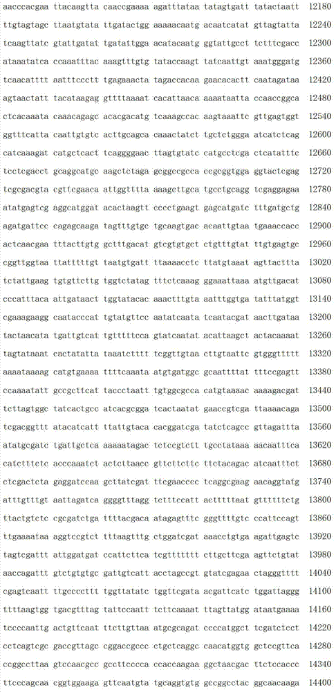 Figure IDA00001909815500201