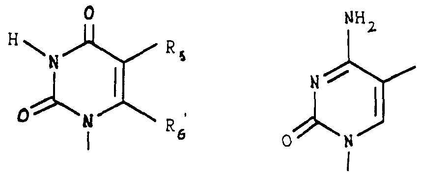 Figure imgf000023_0001