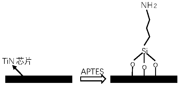 Figure PCTCN2021108534-APPB-000001