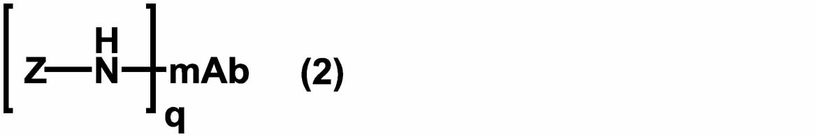 Figure JPOXMLDOC01-appb-C000015