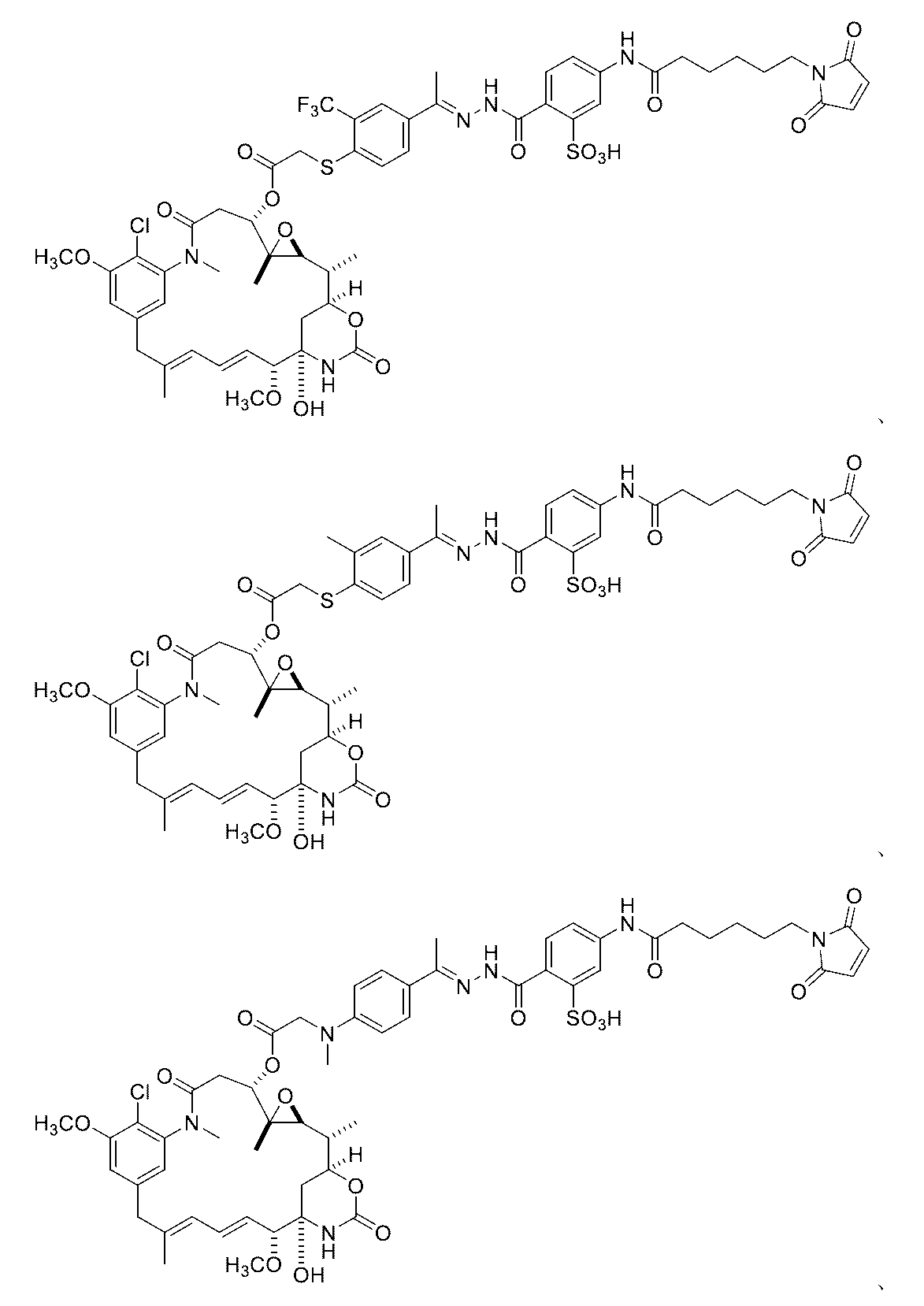 Figure 0007442821000062
