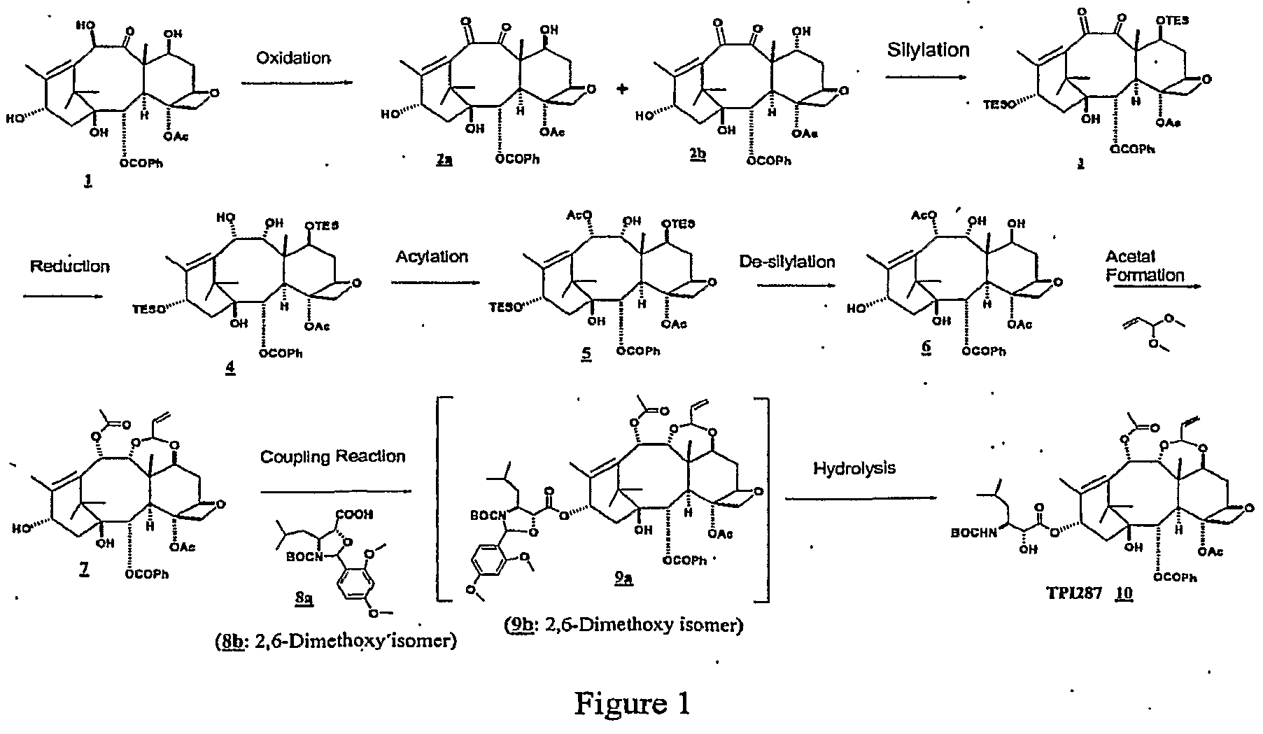 Figure imgf000032_0001