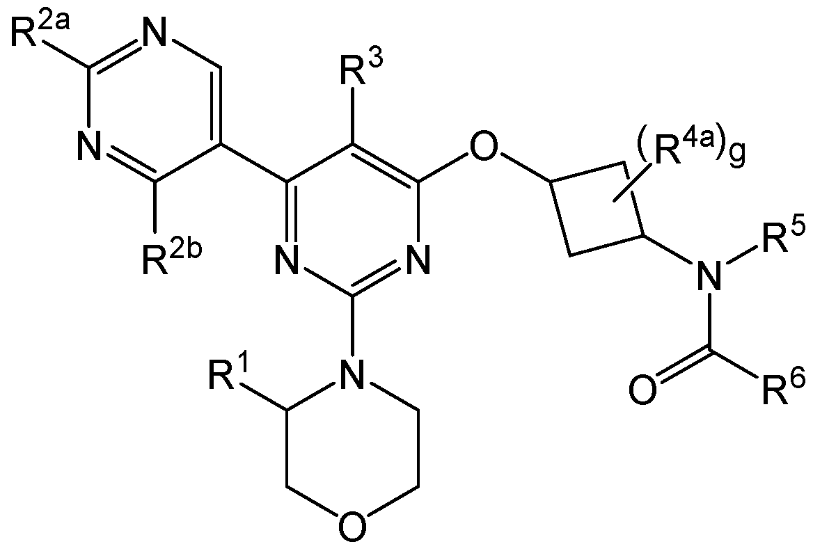 Figure imgf000022_0002