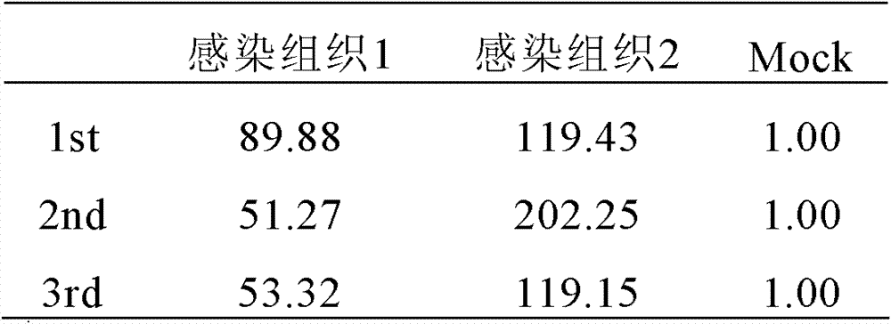 Figure BDA0000054504530000161