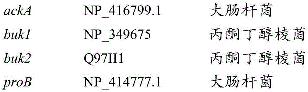 Figure BDA0003191798460001322