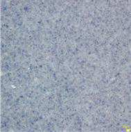 Figure 112020121221960-pat00006