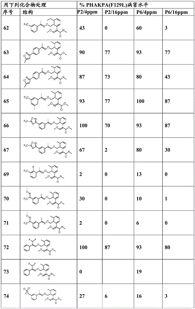 Figure BDA0003914530940001021