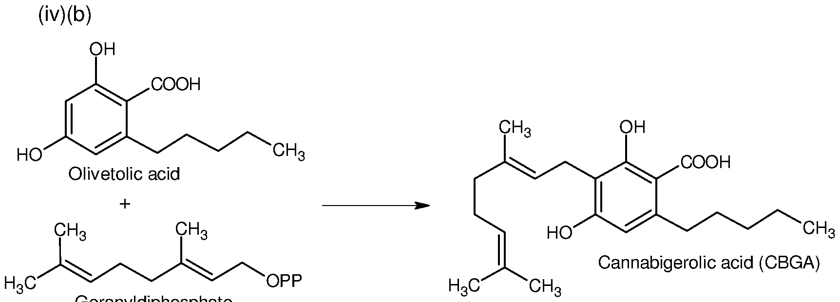Figure imgf000059_0002
