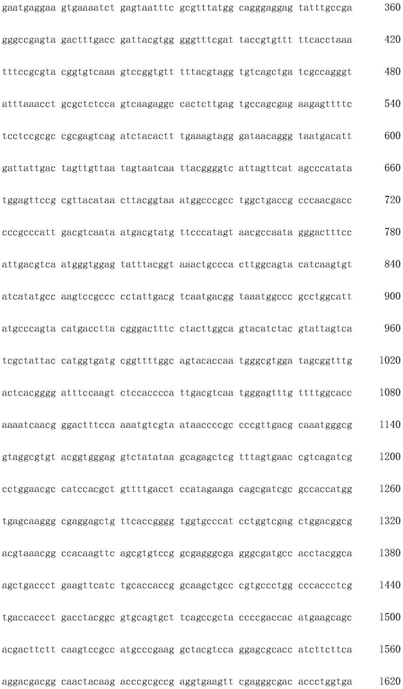 Figure IDA0002872168960001321