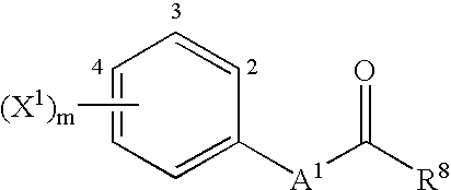 Figure US20080200499A1-20080821-C00024